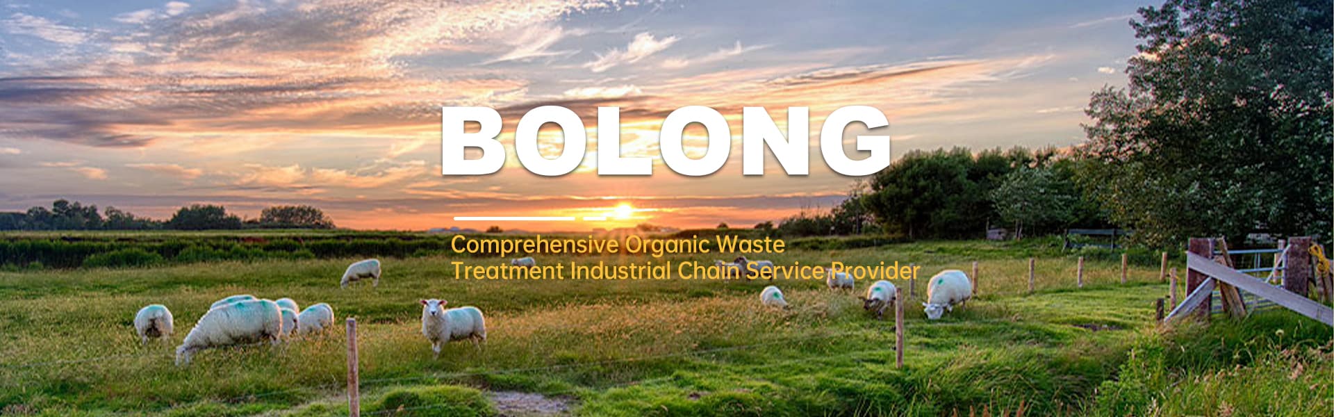 bolongfarm